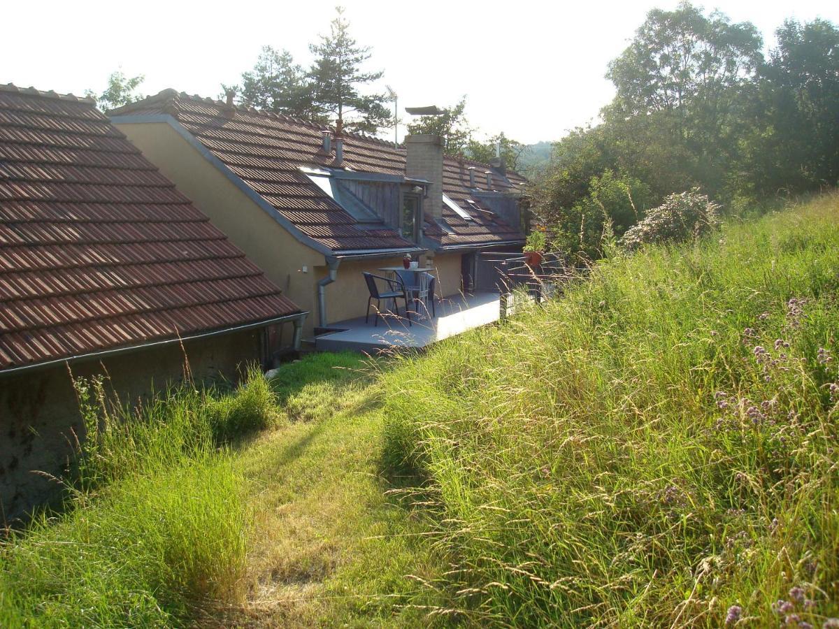 Apartman Pod Velkou Amerikou Morina Exterior foto